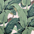 The Iconic Beverly Hills™ Banana Leaf Wallpaper - Brentwood Blush - Designer Wallcoverings and Fabrics