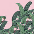 Beverly Hills™ Tropical Mural - Pinky
