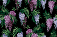 Wanda's Wandering Wisteria Authentic Vintage 1950's Reproduction Wallpapers