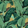 The Iconic Beverly Hills™ Banana Leaf Wallpaper - Golden Honey - Designer Wallcoverings and Fabrics