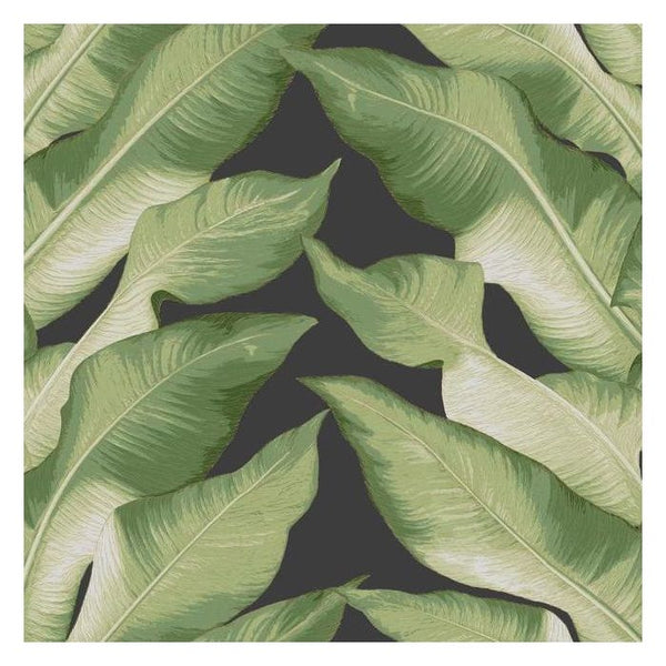 Stripe Palm Tropical Wallpaper - Black Green - Designer Wallcoverings and Fabrics